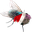 consteOnARandomFly