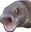 PogFish