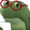 FROGEGLASSES