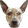 KarenDog