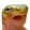 frogChamp