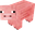 PigPls