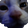 NosyCora