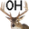 OhDeer