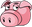 DrPig