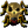 skullGold