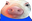 PigPogWeird