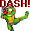 TMNTIVDash