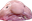 BlobFish