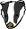 BadgerFace