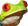 aprilFrog