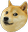 DogeMLG