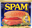 SPaM