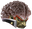 ganonBrain