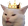 KingCat