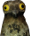 katPotoo