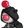 nicandOrgMoogle