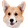 omanCorg