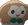 rowlettOhno