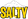 SaltyR