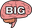 BigBrain