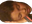 IgorSleeper