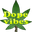 DopeVibez