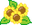 BexSunflowers