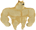 SwoleDoge