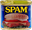 SPAMAGE