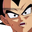 naniVegeta