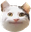 SMugCat