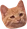 SmugCat