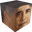 ObamaCube