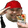 GreekKona