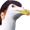 seaGull