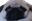 pugWhat