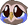 owlSad