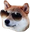 DogeC