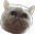 WutCat2