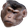 chimpBruh