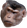 chimpBruh