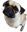 PugCloe