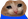 peepoCat