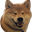 mmShiba