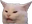 KonfusedCat