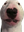 WeirdDog