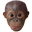 monkeyFunny