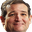 cruzPains