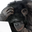 monkeyThonk